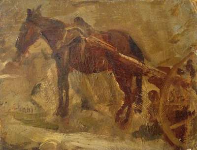 Cavallo - Ciani Cesare